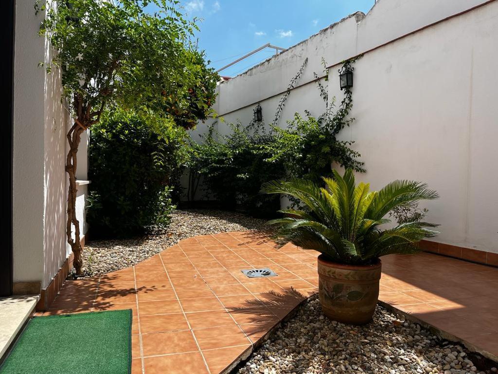 Apartamento Acogedor Junto A Plaza De San Agustin