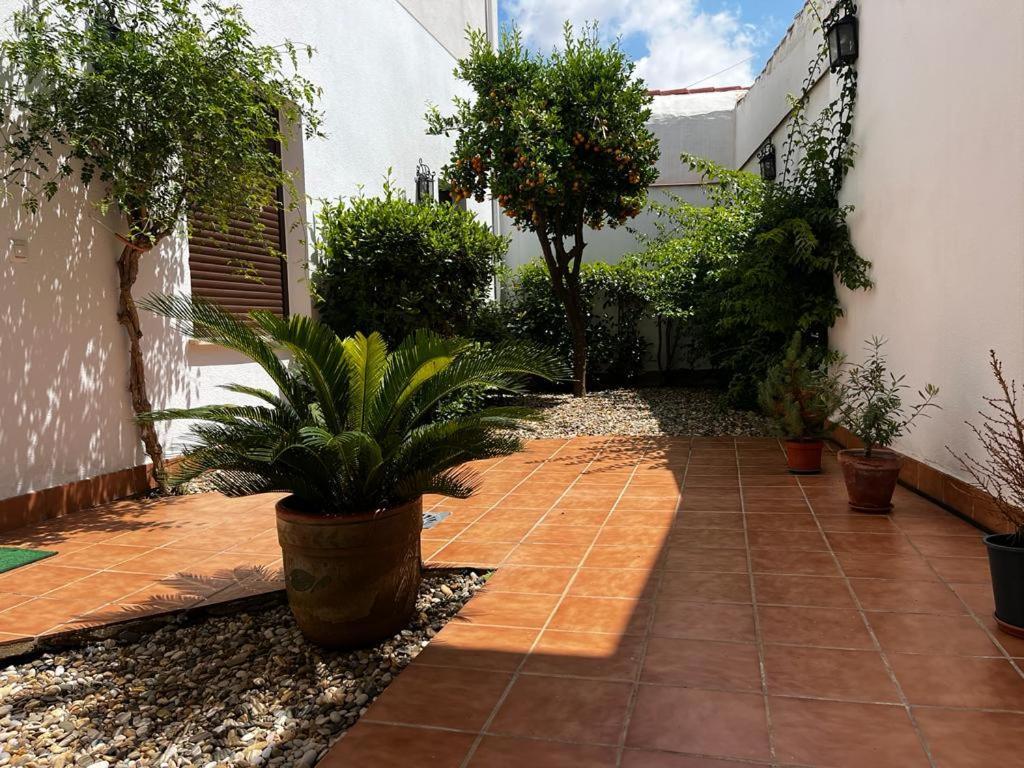 Apartamento Acogedor Junto A Plaza De San Agustin